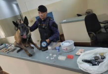 GCM de Vargem atende mais de 3,4 mil ocorrências em 2025