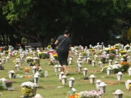 Editorial: A questão envolvendo o enterro dos pets