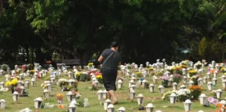 Editorial: A questão envolvendo o enterro dos pets