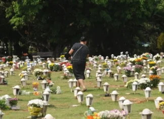 Editorial: A questão envolvendo o enterro dos pets