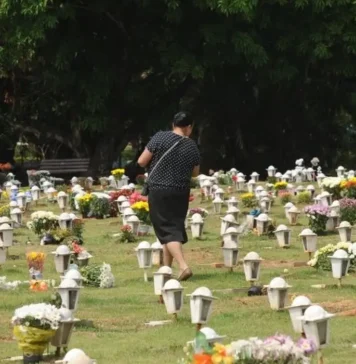 Editorial: A questão envolvendo o enterro dos pets