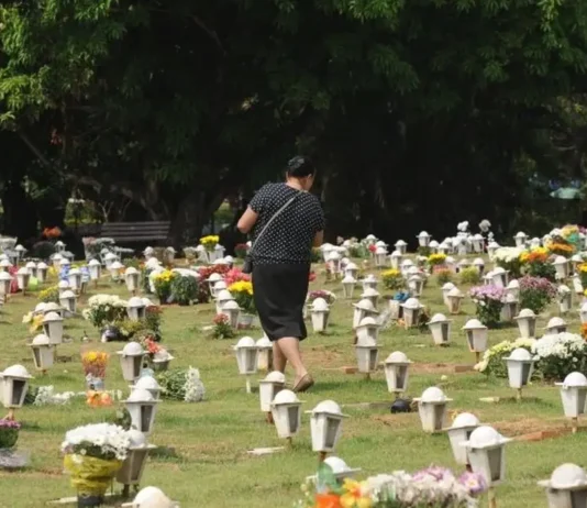 Editorial: A questão envolvendo o enterro dos pets