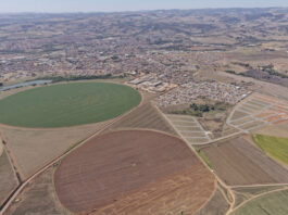 Editorial: Boas notícias para a habitação