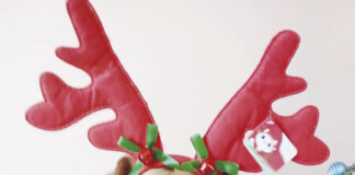 Coluna Momento Pet: Kira