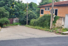 Lixo e ataques de cães são alvos de denúncias