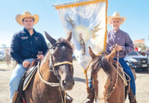 Preparativos para a 50ª Romaria dos Cavaleiros de Sant’Ana já estão a todo vapor