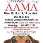 Bazar da AAMA segue neste sábado, dia 18