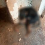 Denúncia de maus-tratos a animais mobiliza PM