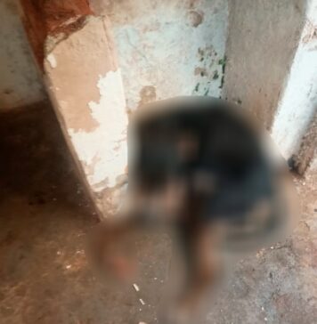 Denúncia de maus-tratos a animais mobiliza PM