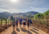 7ª Via Crucis une fé e solidariedade na madrugada de 1º de maio