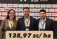 Fazenda do Grupo Santa Vitória ganha prêmio nacional de produtividade