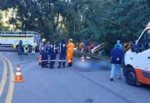 Trabalhadoras rurais morreram em acidente na SP-215