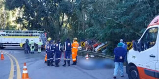 Trabalhadoras rurais morreram em acidente na SP-215