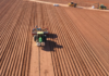 Início da safra de batata animou produtores, mas preços caíram