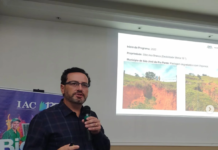 Super El Niño: produtor de Vargem Grande do Sul já pode agir