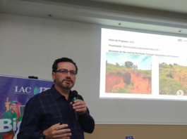 Super El Niño: produtor de Vargem Grande do Sul já pode agir