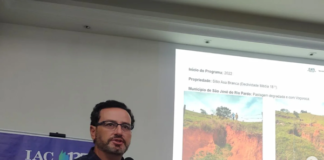 Super El Niño: produtor de Vargem Grande do Sul já pode agir