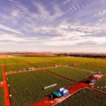6º Dia de Campo de Batata reuniu produtores e estudantes