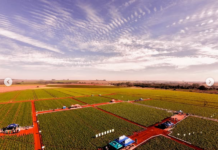 6º Dia de Campo de Batata reuniu produtores e estudantes