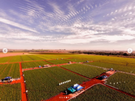 6º Dia de Campo de Batata reuniu produtores e estudantes