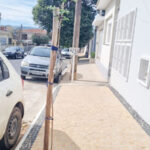 Moradores já estão cumprindo lei que obriga plantio de árvore