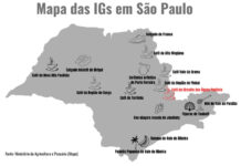 Agricultura de São Paulo soma 11 Indicações Geográficas