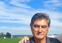 A cultura da batata em Vargem Grande do Sul