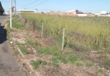 Sofá e privada foram jogados em terreno no Jardim Fortaleza