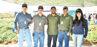 5ª Vitrine da Batata da Haygo Tech destacou adubação nitrogenada