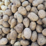 Safra da batata ajuda a reduzir inflação dos alimentos