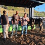 Comitiva do Senegal visita Agropecuária Puro da Fazenda para nova parceria