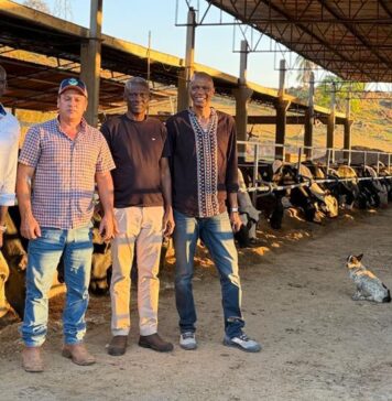 Comitiva do Senegal visita Agropecuária Puro da Fazenda para nova parceria
