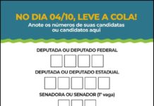 Painel: Qual a ordem dos 6 votos na urna