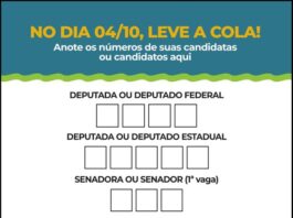 Painel: Qual a ordem dos 6 votos na urna