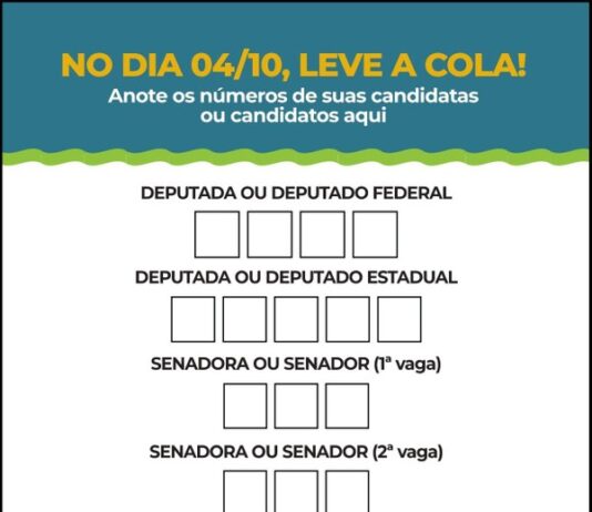 Painel: Qual a ordem dos 6 votos na urna