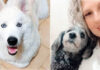 Coluna Momento Pet – Ice e Mila