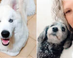 Coluna Momento Pet – Ice e Mila