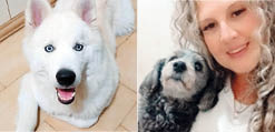 momento pet 08 08 2026