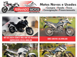 Classificados