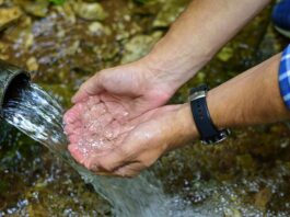 Oficina on-line ensina produtor rural a cuidar da água