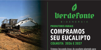 Classificados