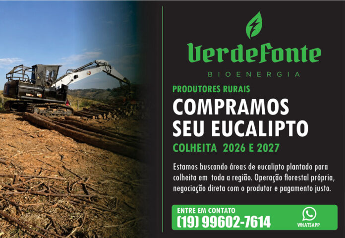 Verde-Fonte-Bioenergia
