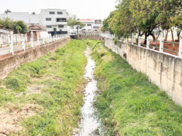 Rio Verde: um nome mais antigo que a própria cidade