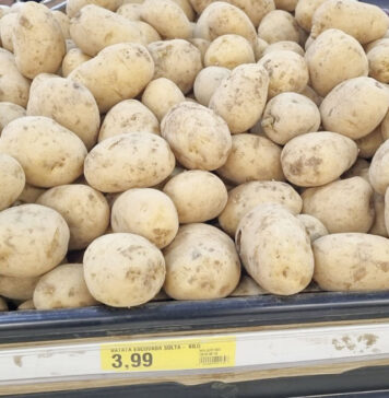 Chuvas em Vargem e região melhoram preço da batata