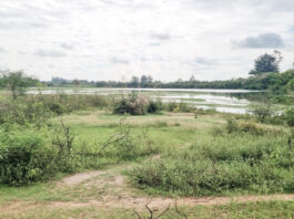 Construção do lago do Jd. Iracema terá início no ano que vem