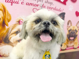 Coluna Momento Pet – Nick