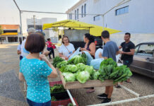 Feira do Produtor terá música ao vivo nesta quarta-feira