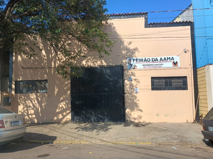 feirão-da-aama-2
